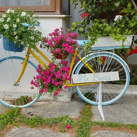 Casa Vacanza Perla Bianca *